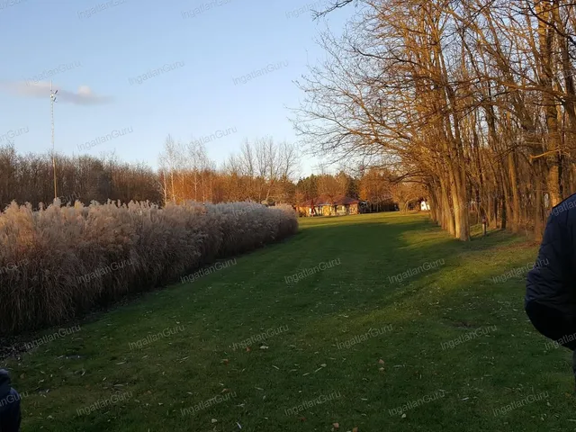 Eladó kereskedelmi és ipari ingatlan Kecskemét, Úrihegy 320 nm