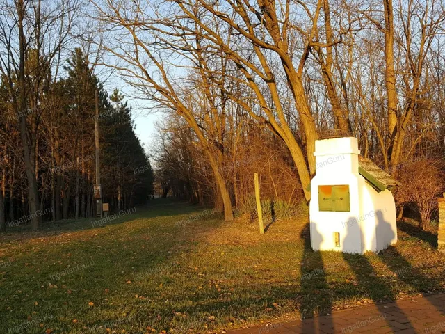 Eladó kereskedelmi és ipari ingatlan Kecskemét, Úrihegy 320 nm