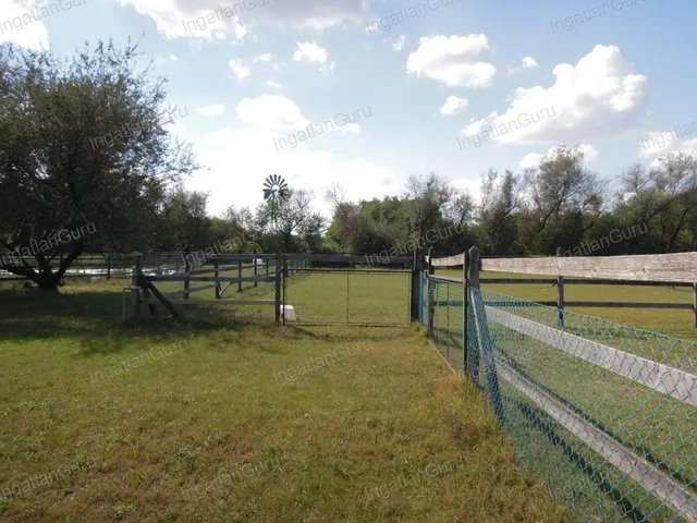 Eladó mezőgazdasági ingatlan Lajosmizse 330000 nm