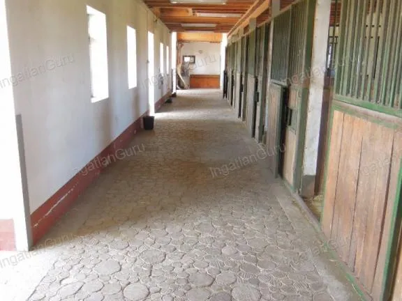 Eladó mezőgazdasági ingatlan Lajosmizse 330000 nm