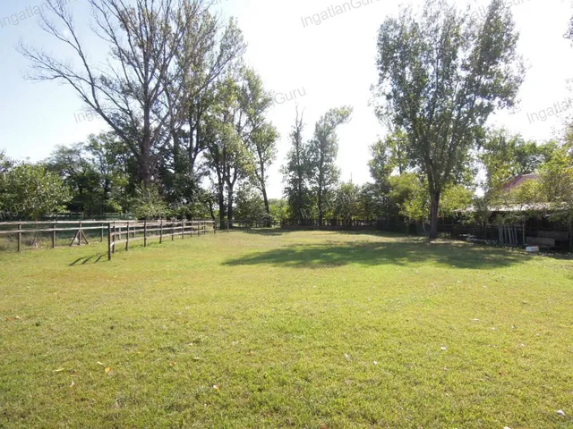 Eladó mezőgazdasági ingatlan Lajosmizse 330000 nm