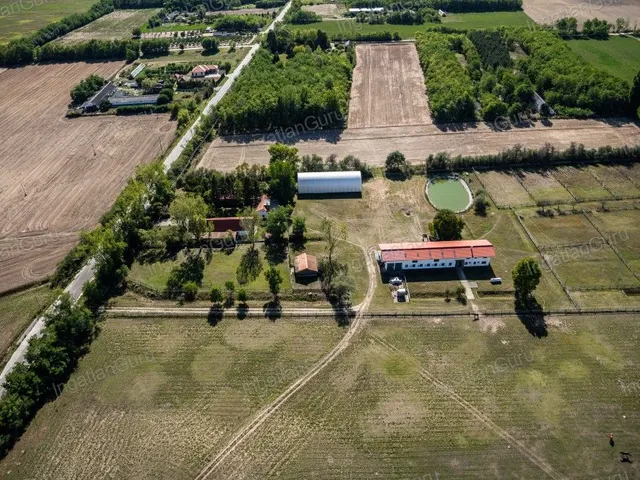 Eladó mezőgazdasági ingatlan Lajosmizse 330000 nm