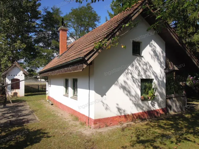 Eladó mezőgazdasági ingatlan Lajosmizse 330000 nm