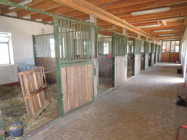 Eladó mezőgazdasági ingatlan Lajosmizse 330000 nm