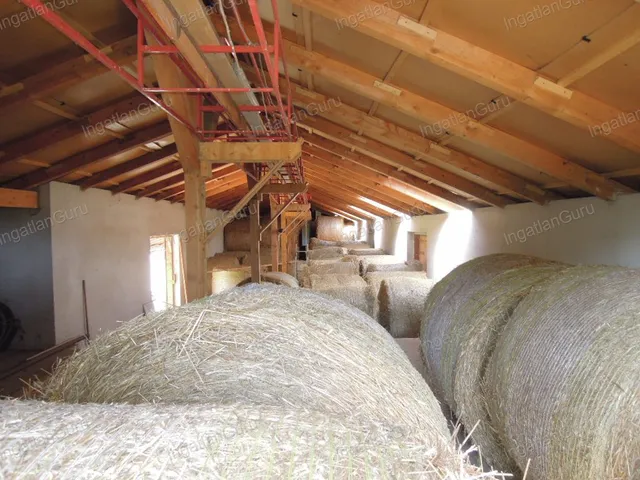 Eladó mezőgazdasági ingatlan Lajosmizse 330000 nm