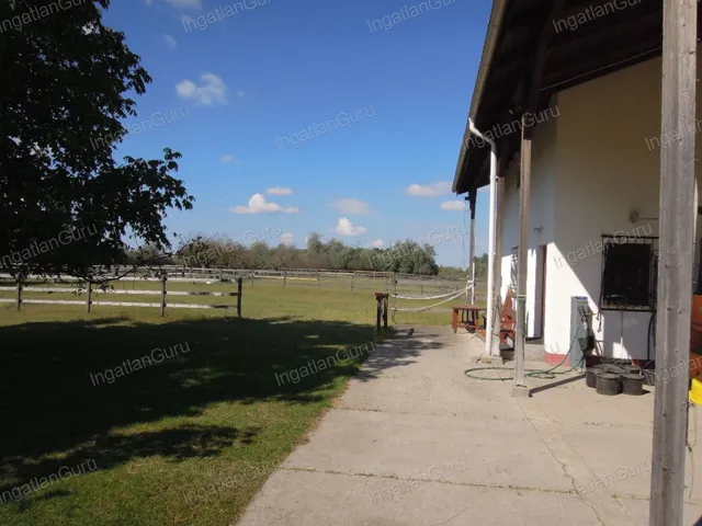 Eladó mezőgazdasági ingatlan Lajosmizse 330000 nm