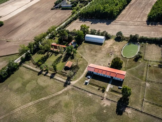 Eladó mezőgazdasági ingatlan Lajosmizse 330000 nm