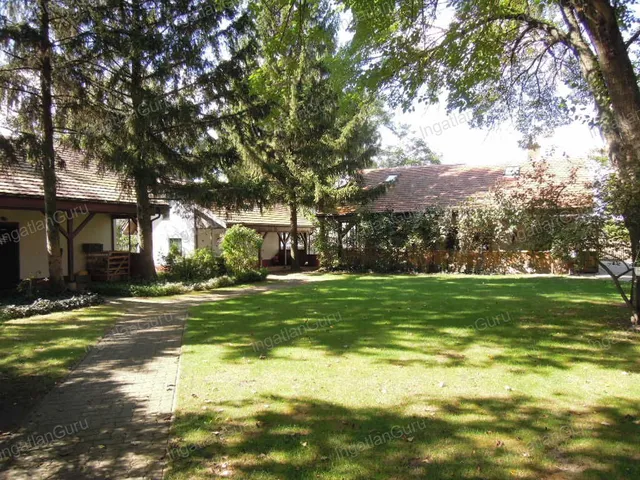 Eladó mezőgazdasági ingatlan Lajosmizse 330000 nm