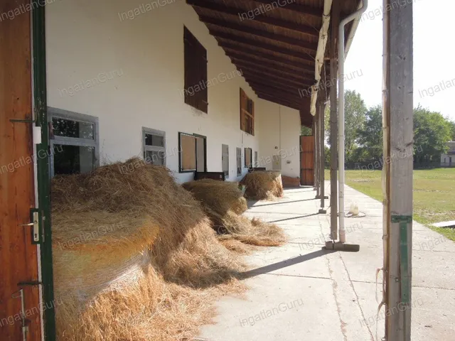 Eladó mezőgazdasági ingatlan Lajosmizse 330000 nm