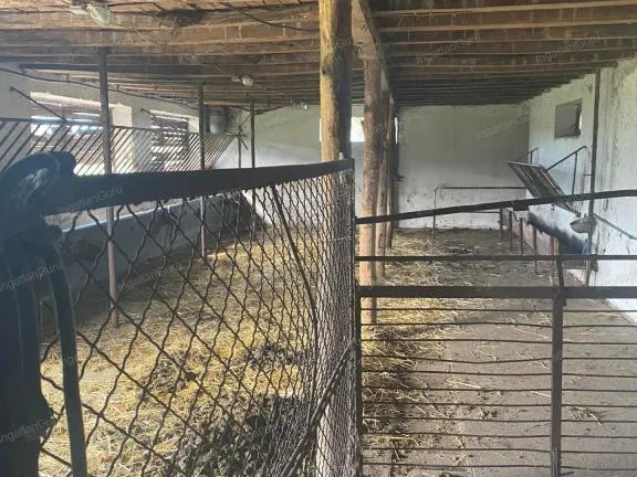 Eladó telek Kunadacs 110000 nm