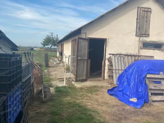 Eladó telek Kunadacs 110000 nm