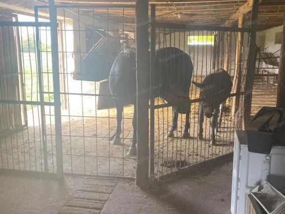 Eladó telek Kunadacs 110000 nm