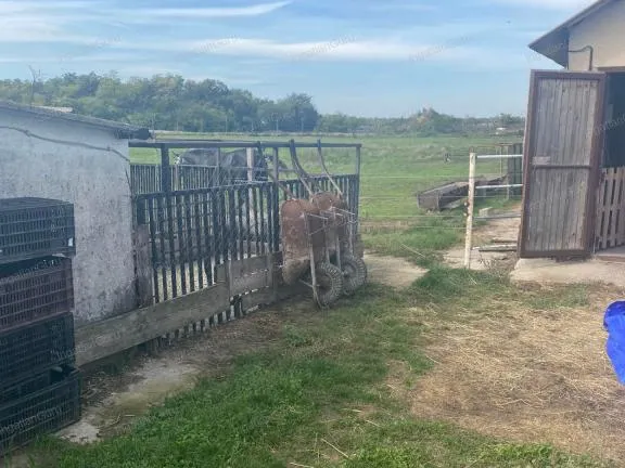 Eladó telek Kunadacs 110000 nm