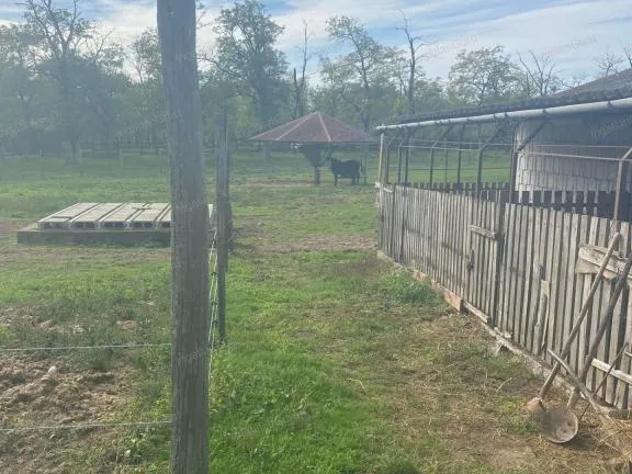 Eladó telek Kunadacs 110000 nm