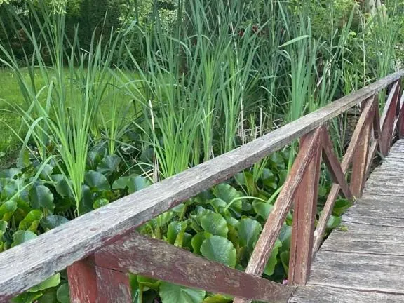 Eladó ház Kecskemét 95 nm