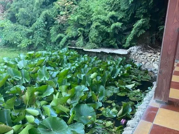 Eladó ház Kecskemét 95 nm