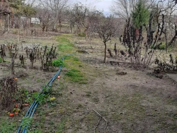 Eladó mezőgazdasági ingatlan Kecskemét, Úrihegy 30 nm