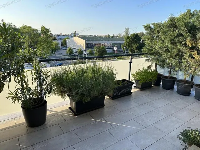 Eladó lakás Kecskemét 112 nm