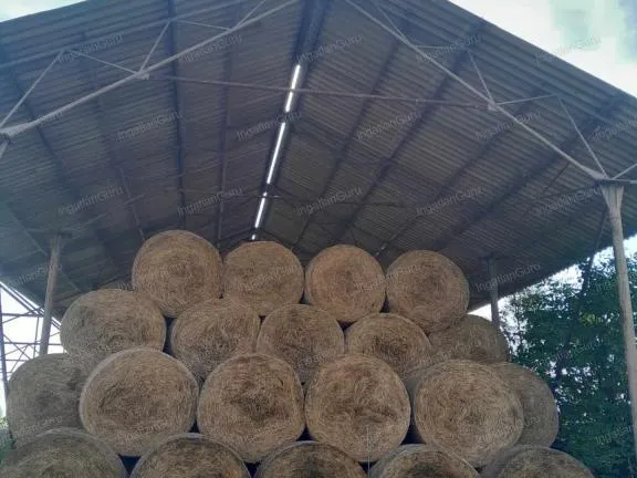 Eladó mezőgazdasági ingatlan Kerekegyháza 15000 nm