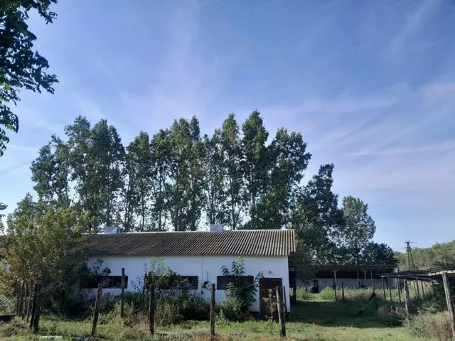 Eladó mezőgazdasági ingatlan Kerekegyháza 15000 nm