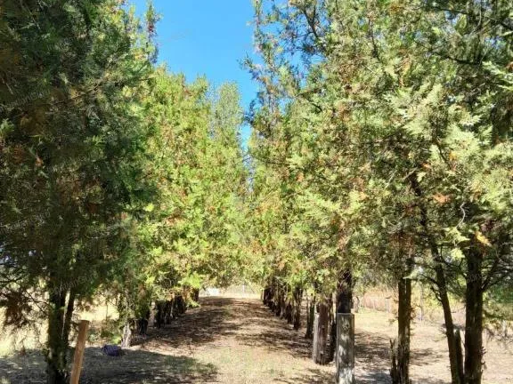 Eladó ház Cegléd 161 nm