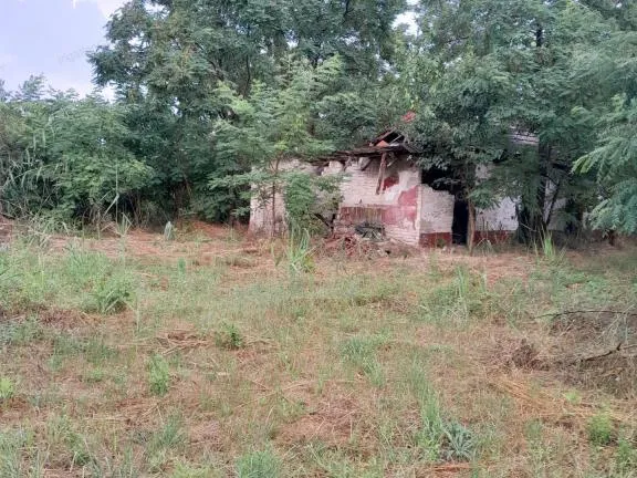 Eladó mezőgazdasági ingatlan Városföld 180 nm