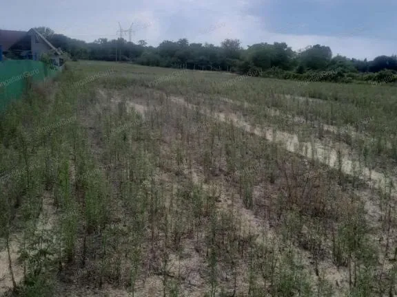 Eladó mezőgazdasági ingatlan Helvécia 6300 nm