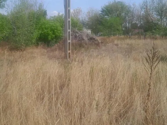 Eladó mezőgazdasági ingatlan Helvécia 3200 nm