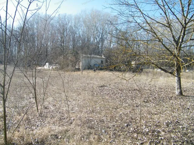 Eladó kereskedelmi és ipari ingatlan Ballószög 3000 nm