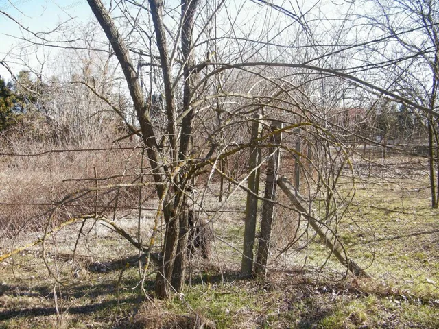 Eladó kereskedelmi és ipari ingatlan Ballószög 3000 nm