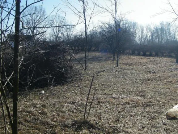 Eladó kereskedelmi és ipari ingatlan Ballószög 3000 nm