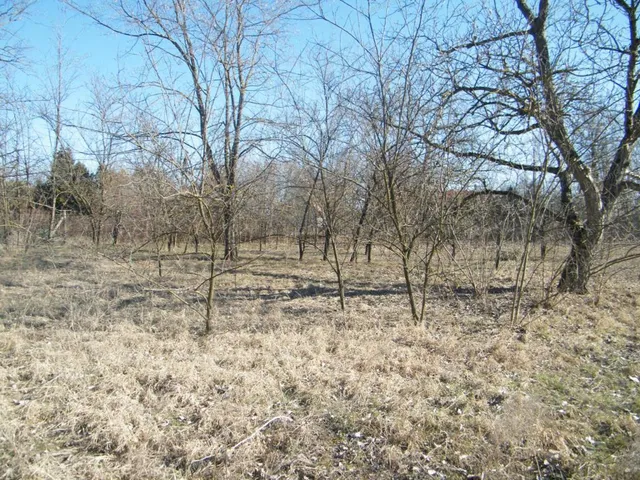 Eladó kereskedelmi és ipari ingatlan Ballószög 3000 nm