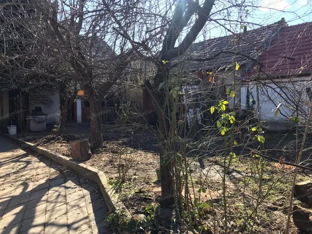 Eladó ház Kecskemét 230 nm