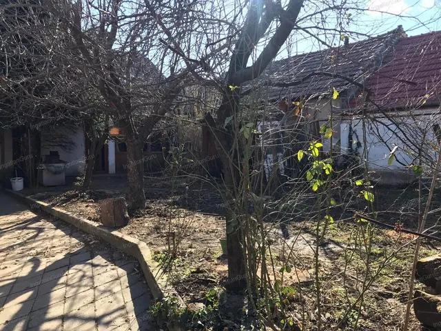 Eladó ház Kecskemét 230 nm