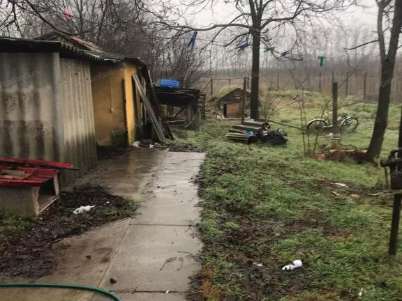 Eladó mezőgazdasági ingatlan Kecskemét 52 nm