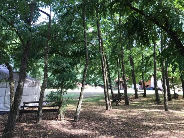 Eladó telek Lajosmizse 96121 nm