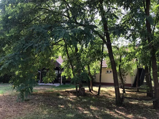 Eladó telek Lajosmizse 96121 nm