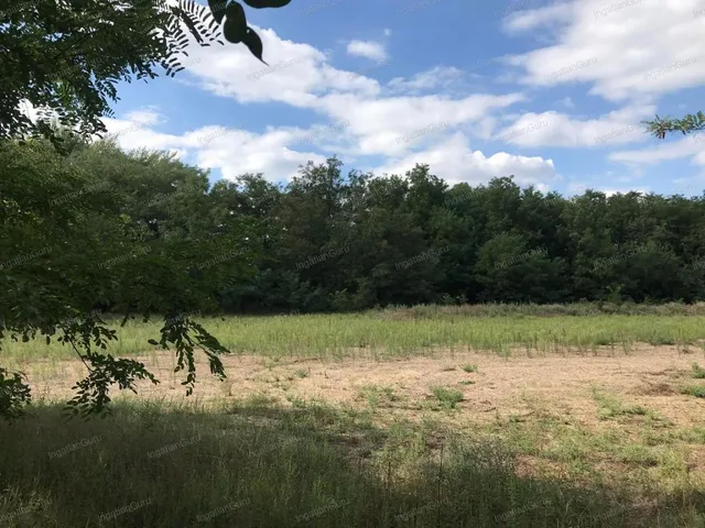 Eladó telek Lajosmizse 96121 nm