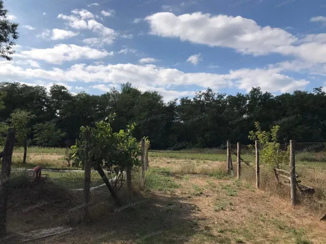 Eladó telek Lajosmizse 96121 nm