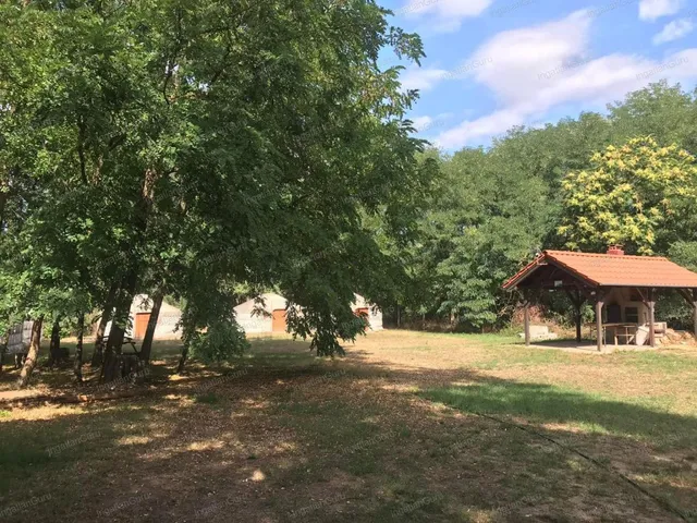 Eladó telek Lajosmizse 96121 nm