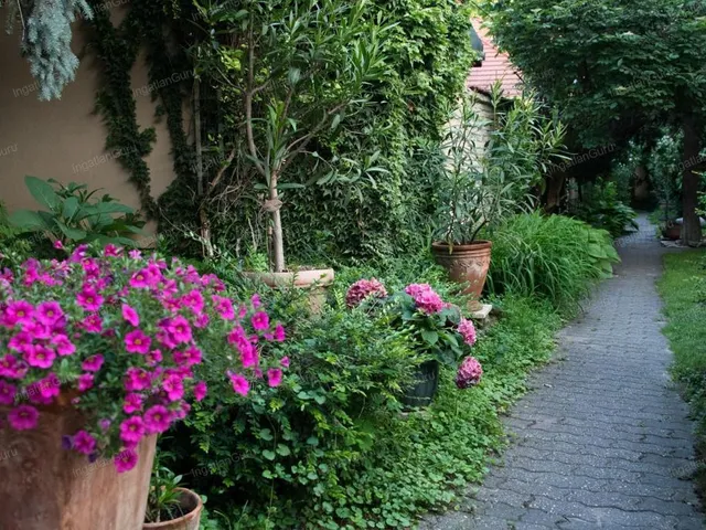 Kiadó ház Kecskemét 370 nm