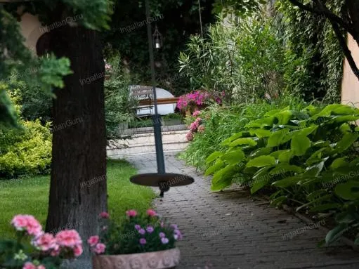 Kiadó ház Kecskemét 370 nm