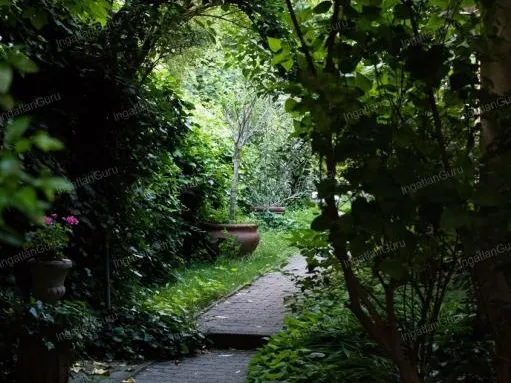 Kiadó ház Kecskemét 370 nm