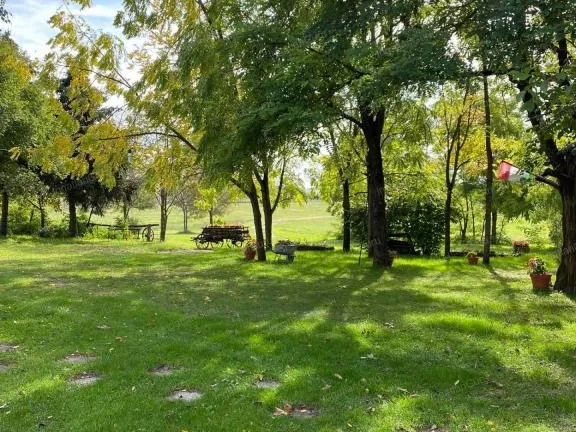 Eladó mezőgazdasági ingatlan Lajosmizse 1050 nm