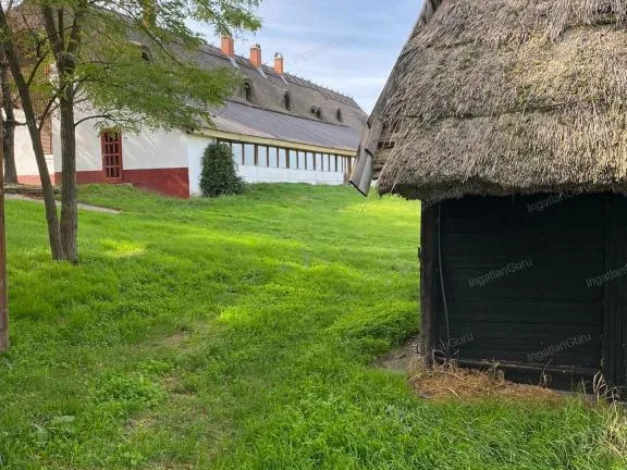 Eladó mezőgazdasági ingatlan Lajosmizse 1050 nm