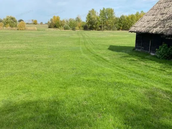 Eladó mezőgazdasági ingatlan Lajosmizse 1050 nm