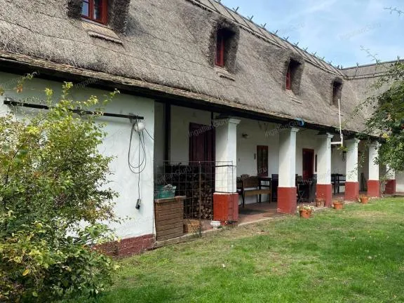 Eladó mezőgazdasági ingatlan Lajosmizse 1050 nm