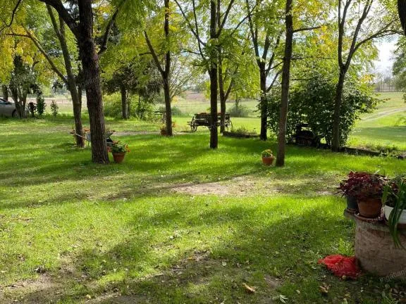 Eladó mezőgazdasági ingatlan Lajosmizse 1050 nm