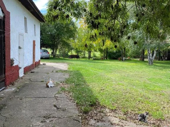 Eladó mezőgazdasági ingatlan Lajosmizse 1050 nm