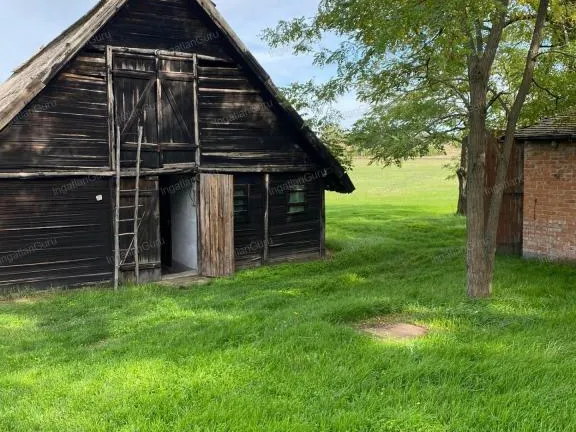 Eladó mezőgazdasági ingatlan Lajosmizse 1050 nm